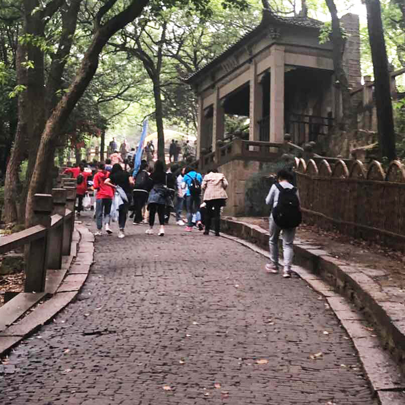 昆山泰如电子徒步-2